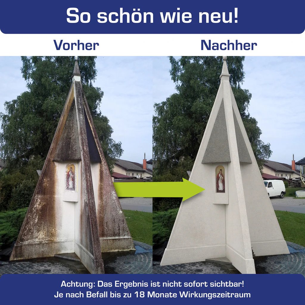 AGO Quart® Algen- und Grünbelagentferner - Image 5