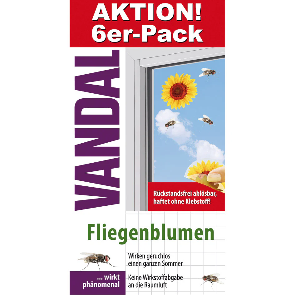 Vorschaubild 1