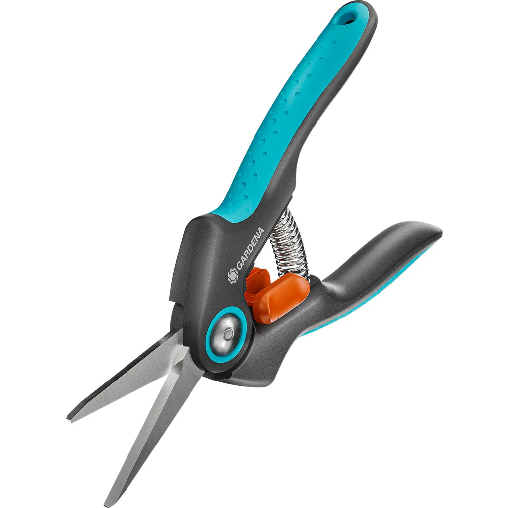 FreshCut - Image 3